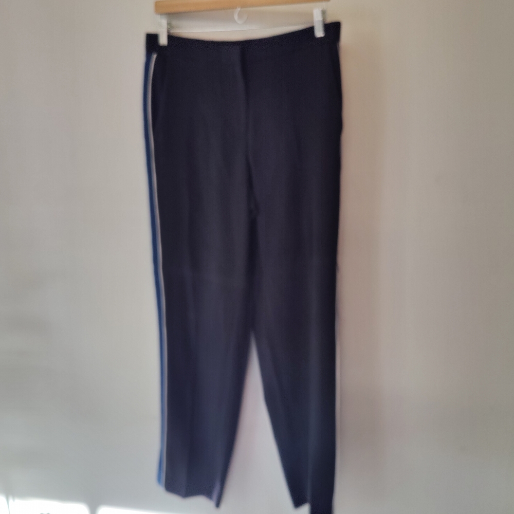 Ann Taylor Lightweight Navy Pants with Royal And White Stripe M